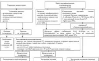 Алгоритм оказания неотложной помощи при носовом кровотечении