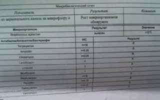 Стрептококк агалактия в мазке из цервикального канала