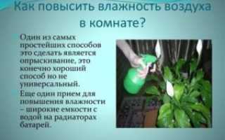 Как увеличить влажность воздуха в квартире