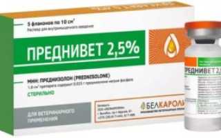 Как вводить преднизолон внутримышечно