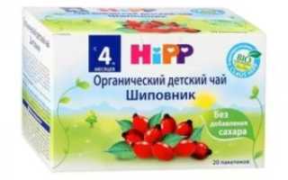 Шиповник при простуде детям